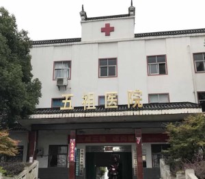 黄梅县五祖镇卫生院采购微量元素测试仪