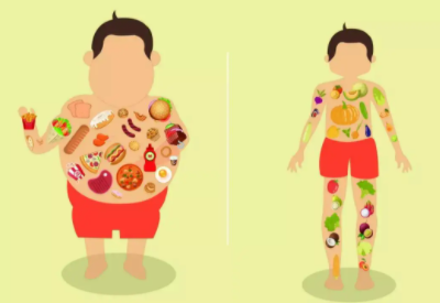 人体肥胖与各种微量元素的关系